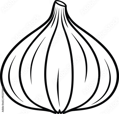 Vector illustration of fresh onion isolated with kitchen utensils and cooking ingredients