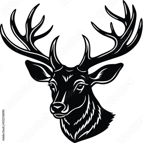 Majestic Stag Head A Black and White Illustration