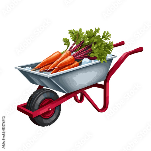 Wheelbarrow filled with fresh carrots and greens on ice for gardening concept