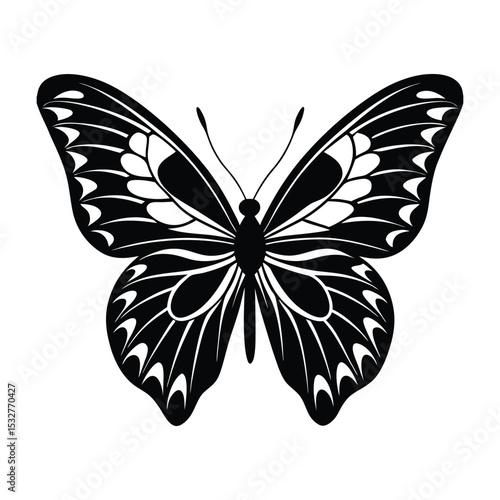 butterfly vector illustration