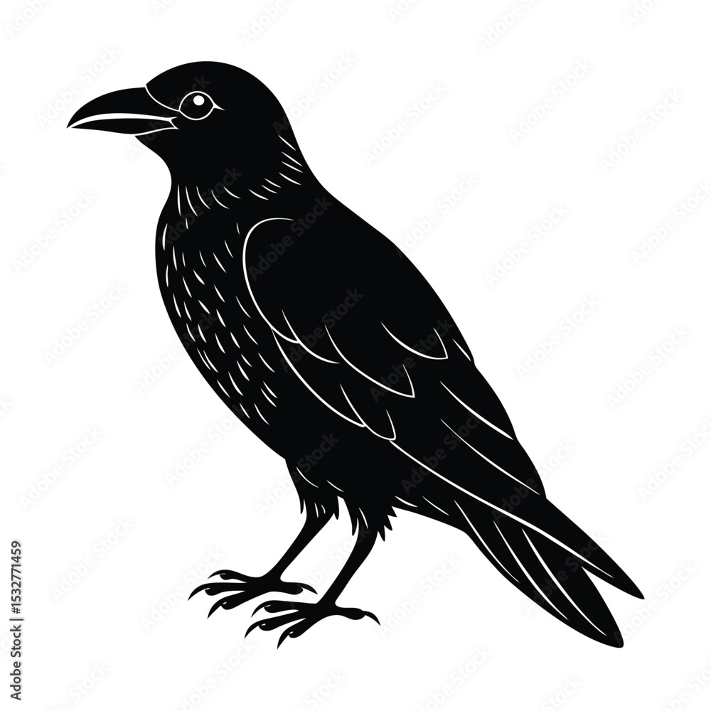 Obraz premium crow on a branch