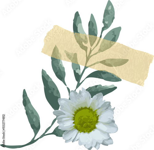 Fototapeta Naklejka Na Ścianę i Meble -  Flat design is featuring white daisy with green leaves and yellow tape on transparent background