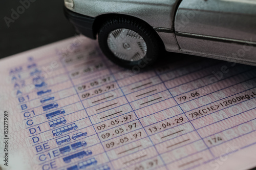 Wallpaper Mural EU-Führerschein umtauschen 2025 Torontodigital.ca