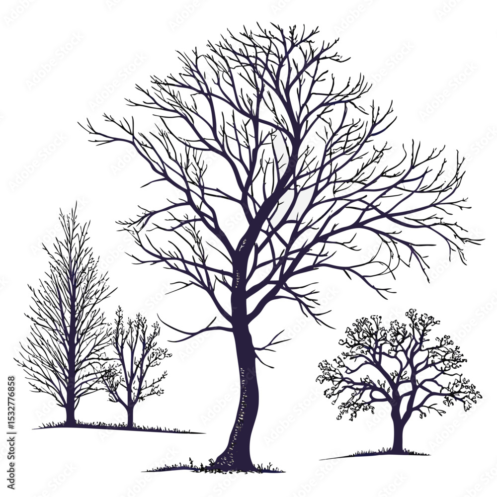 Fototapeta premium minimal botanical graphic sketch drawing trendy