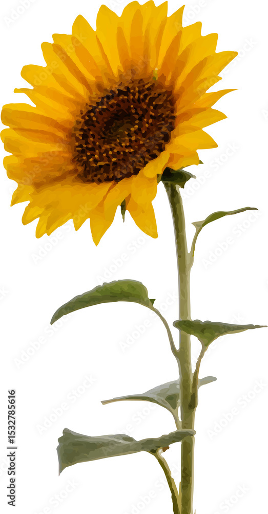 Naklejka premium Showing flat design sunflower blooming with brown disk and yellow petals on transparent canvas