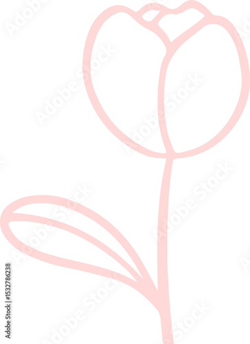 Fototapeta Naklejka Na Ścianę i Meble -  Stylized flower is being shown in minimalist line art, with pale pink outline on transparent canvas