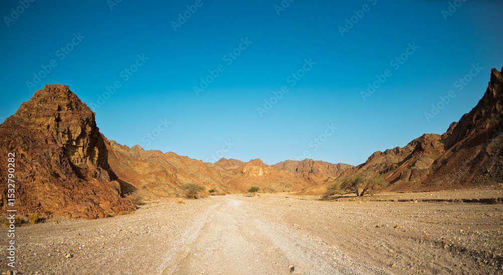 Naklejka premium View of rocky landscape in the desert of Israel, sandstone cliffs and desert. Israel. Eilat.