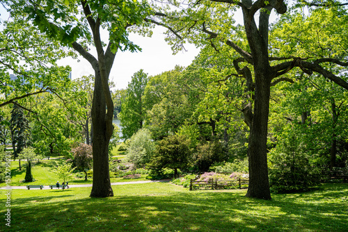 Photography View of High Park in Toronto.