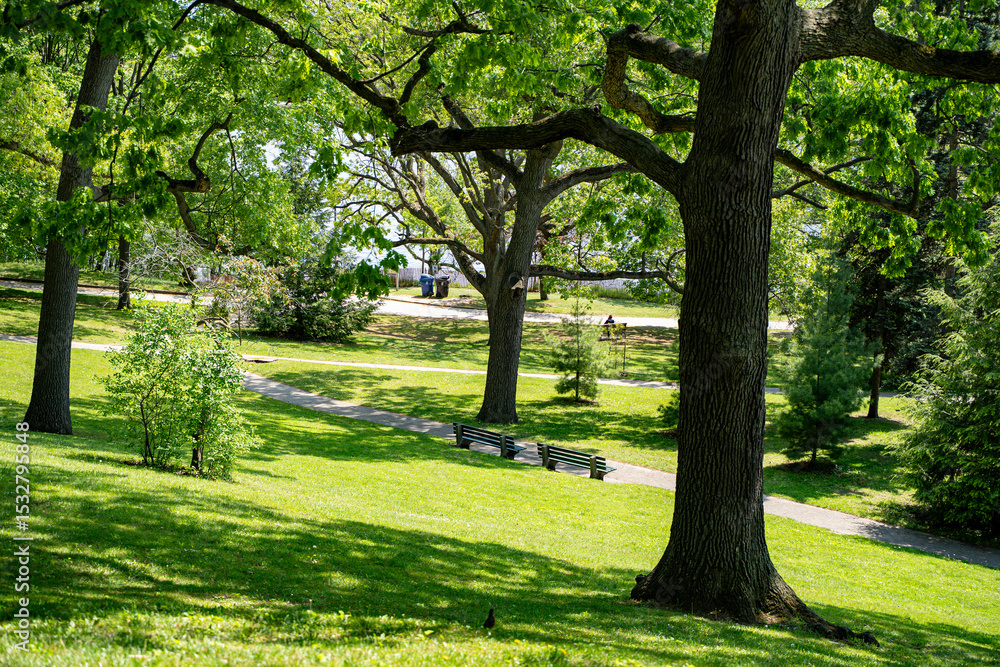 View of High Park in Toronto. View of High Park in Toronto.