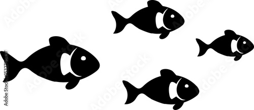 Photography School of four flat black fish silhouettes swimming right on transparent backgro