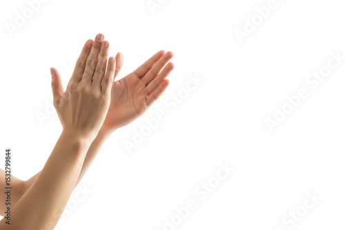 Close-up of female hands clapping against white background, expressing approval, appreciation, celebration, support, encouragement, recognition, positivity, and unity on transparent background