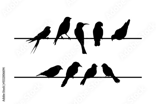birds perched wire silhouette