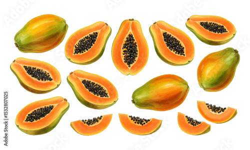 hand painted watercolor set of papaya illustration