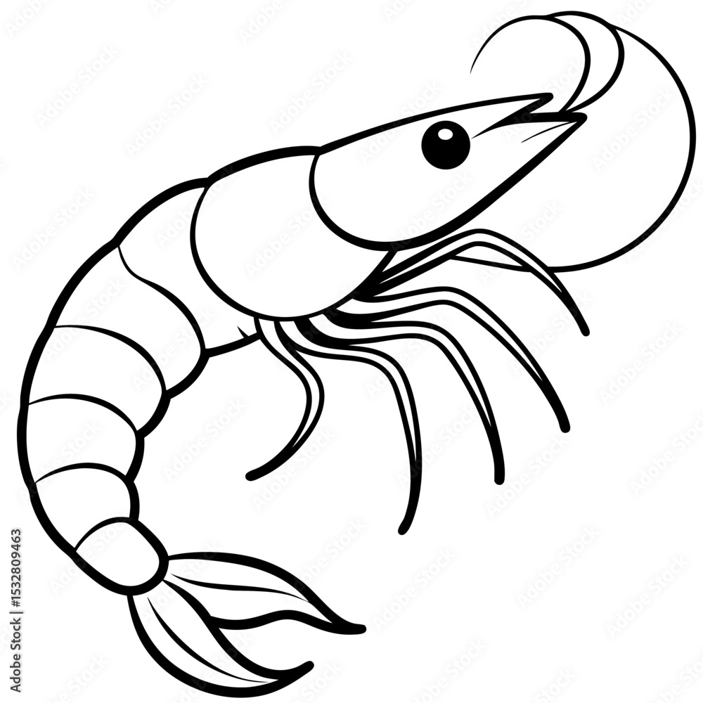Fototapeta premium Shrimp Outline Illustration – Simple Vector Style