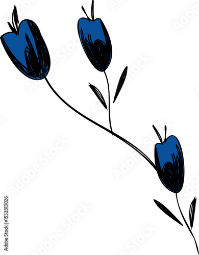 Fototapeta Naklejka Na Ścianę i Meble -  Flat design stem is bearing three blue tulip buds, black leaves, scribbles, transparent background