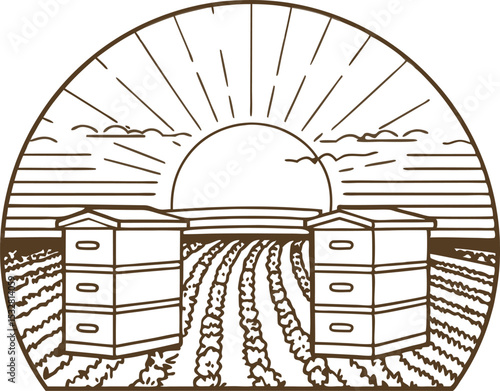 Beehives on farmland at sunrise rural agriculture landscape with wooden hives and fields, morning sun illustration