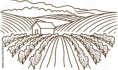 Vineyard landscape illustration rural farmland with barn, grape vines, hills, countryside agriculture, scenic field drawing