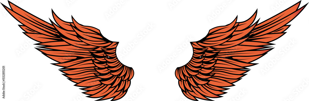 Obraz premium Stylized orange wings lifting in flat style with feathers black outline on transparent background