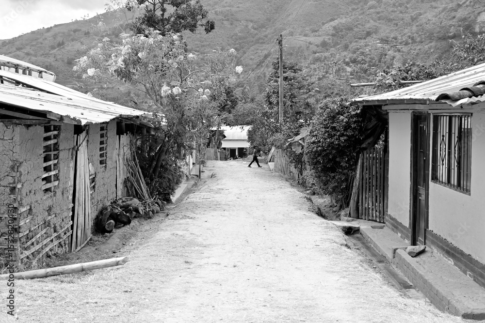 Obraz premium paisaje andino