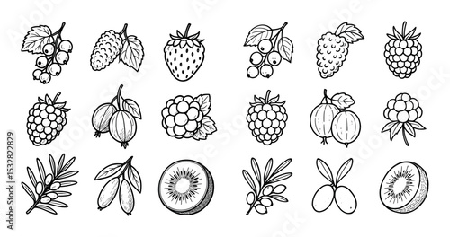 Berry Icon Collection