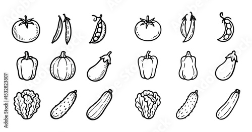 Garden Harvest Sketches