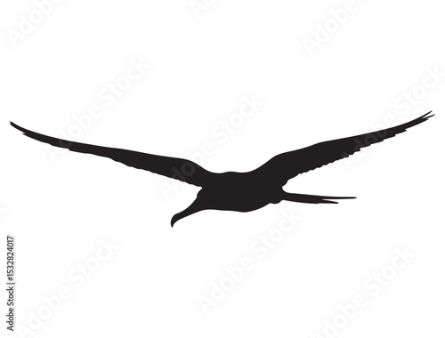  FRIGATEBIRD SILHOUETTE