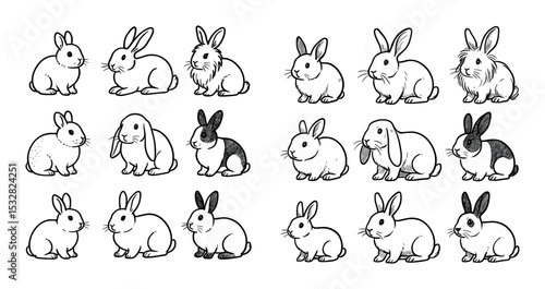 Rabbit Breeds Line Art