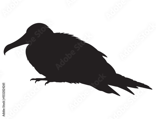  FRIGATEBIRD SILHOUETTE