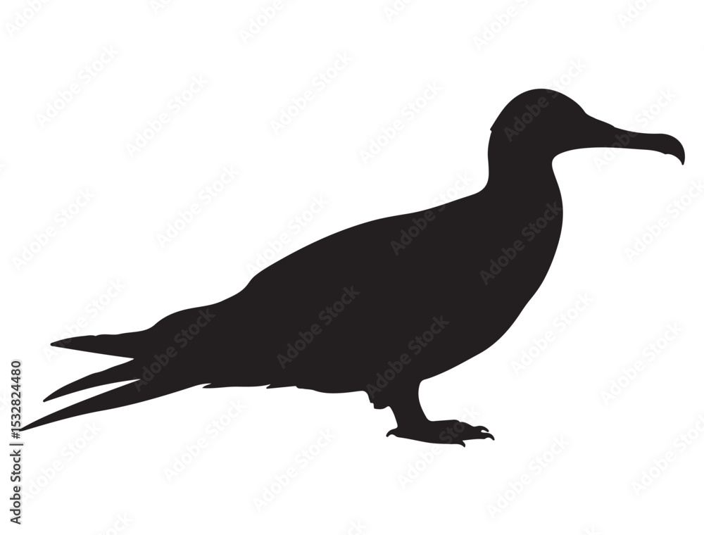 FRIGATEBIRD SILHOUETTE FRIGATEBIRD SILHOUETTE