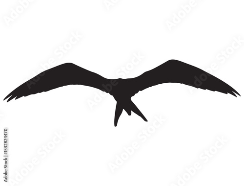  FRIGATEBIRD SILHOUETTE