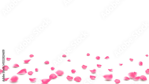 Lovely banner floral pastel pink color. Rose petals on floor background