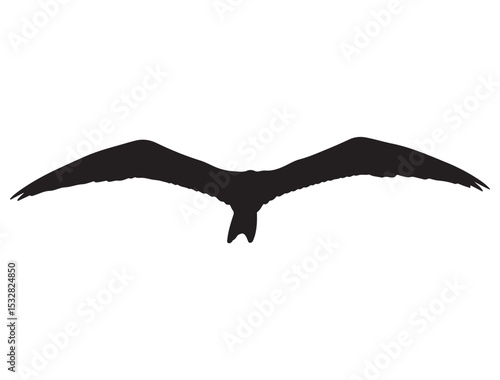  FRIGATEBIRD SILHOUETTE
