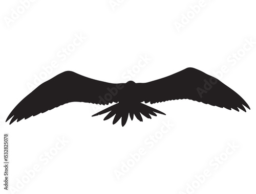  FRIGATEBIRD SILHOUETTE