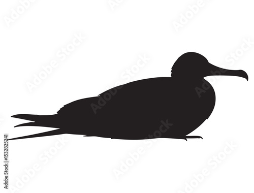  FRIGATEBIRD SILHOUETTE
