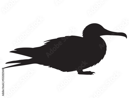  FRIGATEBIRD SILHOUETTE