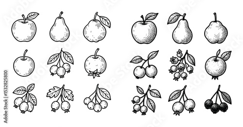 Cider Fruit Icons