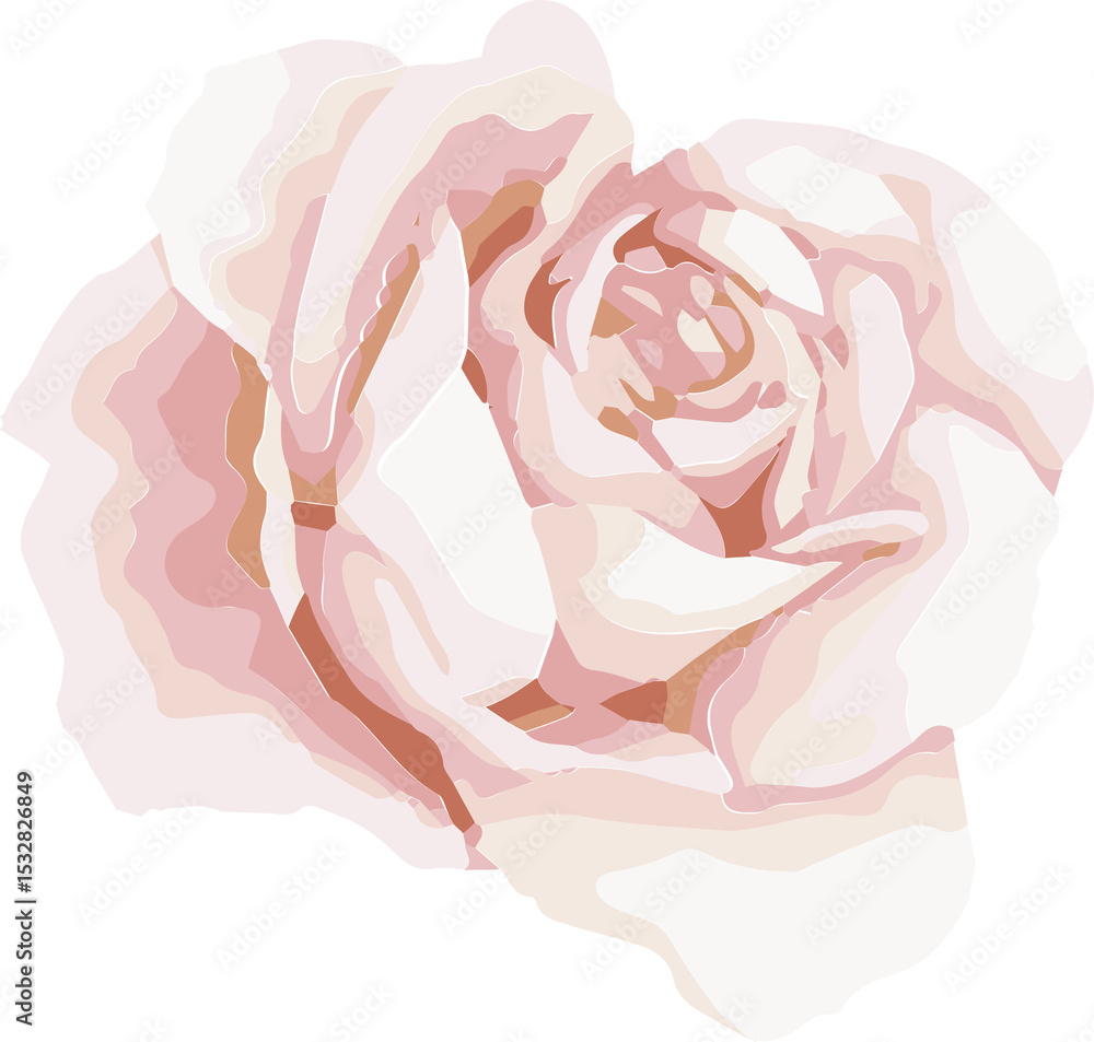Fototapeta premium Stylized rose illustration featuring layered pale pink, cream petals showing transparent background