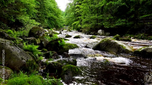 Wild mountain river. Cascading waterfall flows rapidly over mossy rocks forest landscape. natural sound