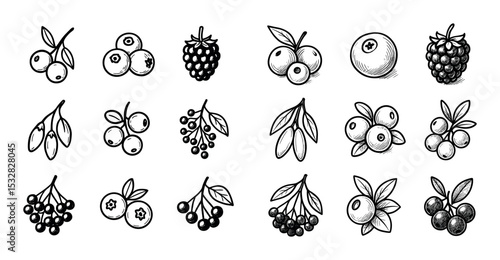 Antioxidant Berries Icons