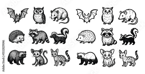 Nocturnal Animals Icons