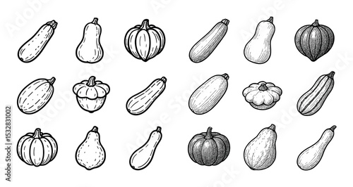 Hand-drawn Squash Icons