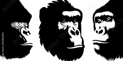 Primate portraits in silhouette style featuring gorilla, chimpanzee, orangutan, and gibbon
