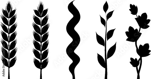 Stylized barley spike and leaf swirl elements on white background for nature design