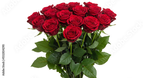 Red rose bouquet green stems white background classic roses arranged elegant bunch