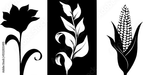 Artistic botanical silhouettes featuring corn stalk and leaf swirl design for nature themes