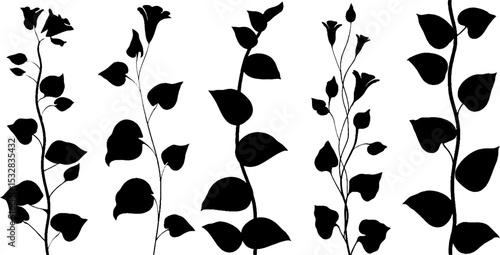 Elegant silhouette of cotton branches and leaves with seed trails for nature design