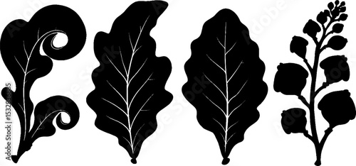 Fig leaf silhouettes with spiral and arc designs for artistic inspiration