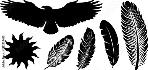 Hawk wings and feathers with swirl and star cluster for design elements