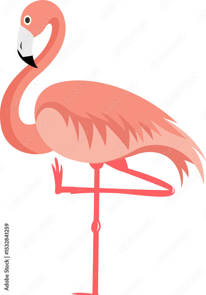 Obraz premium Flat vector flamingo is floating on transparent background, showing curved neck and coral plumage