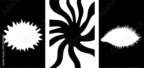 Mystic symbols collection: rune arc, eye of providence, and starburst designs for spiritual art